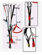 TRIMMER NO PARAMOTOR